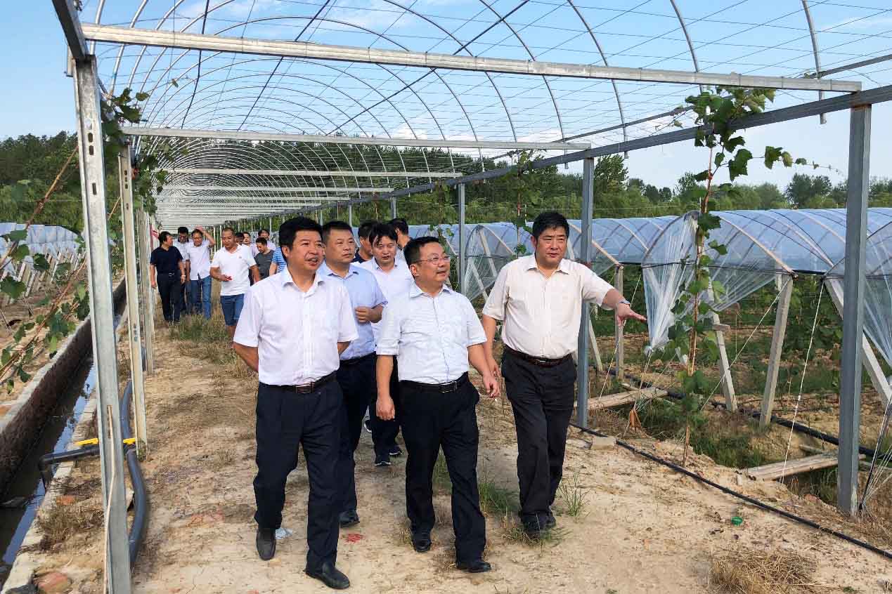 云顶4008集团官网