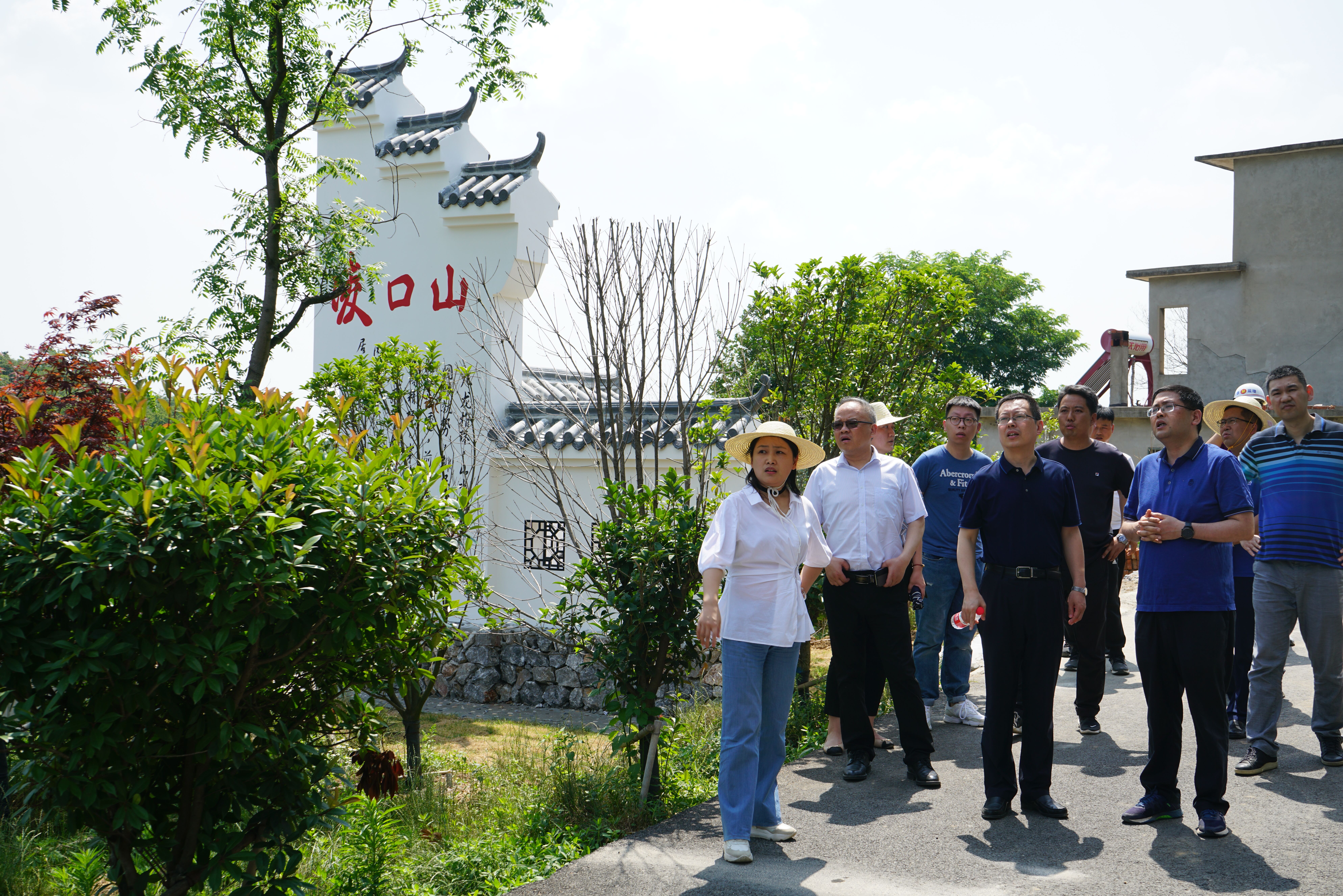云顶4008集团官网
