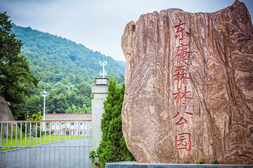 云顶4008集团官网